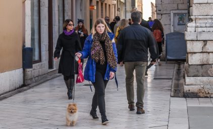 ulicama moga grada-6