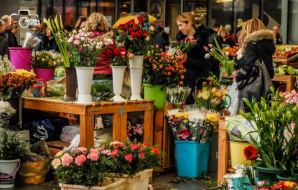 zadar street style-30