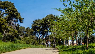 ulicama moga grada-24,tiz,šetanje,zelenilo