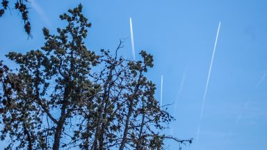 ulicama moga grada-28,avioni,camtrails