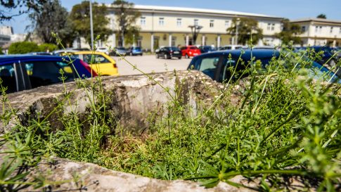 ulicama moga grada-31