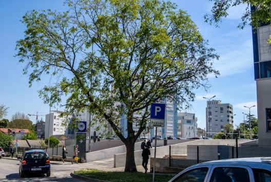 ulicama moga grada-36,poliklinika