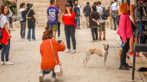 ulicama moga grada-17