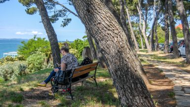 ulicama moga grada-2,kolovare,klupa,hlad,odmor,borovi