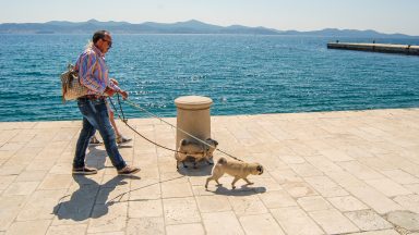 ulicama moga grada-3