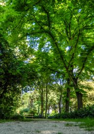 ulicama moga grada-4