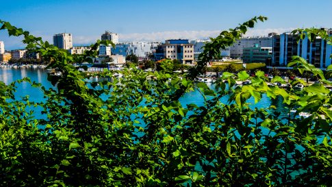 ulicama moga grada-8,lipotica,grmlje,jazine,tiz,voštarnica