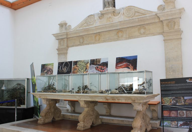 cudesan svijet zmija1