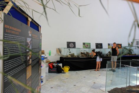 cudesan svijet zmija10