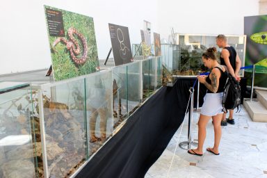 cudesan svijet zmija14