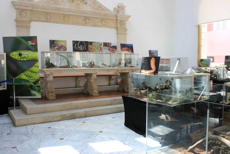 cudesan svijet zmija15