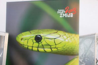 cudesan svijet zmija19