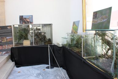 cudesan svijet zmija2