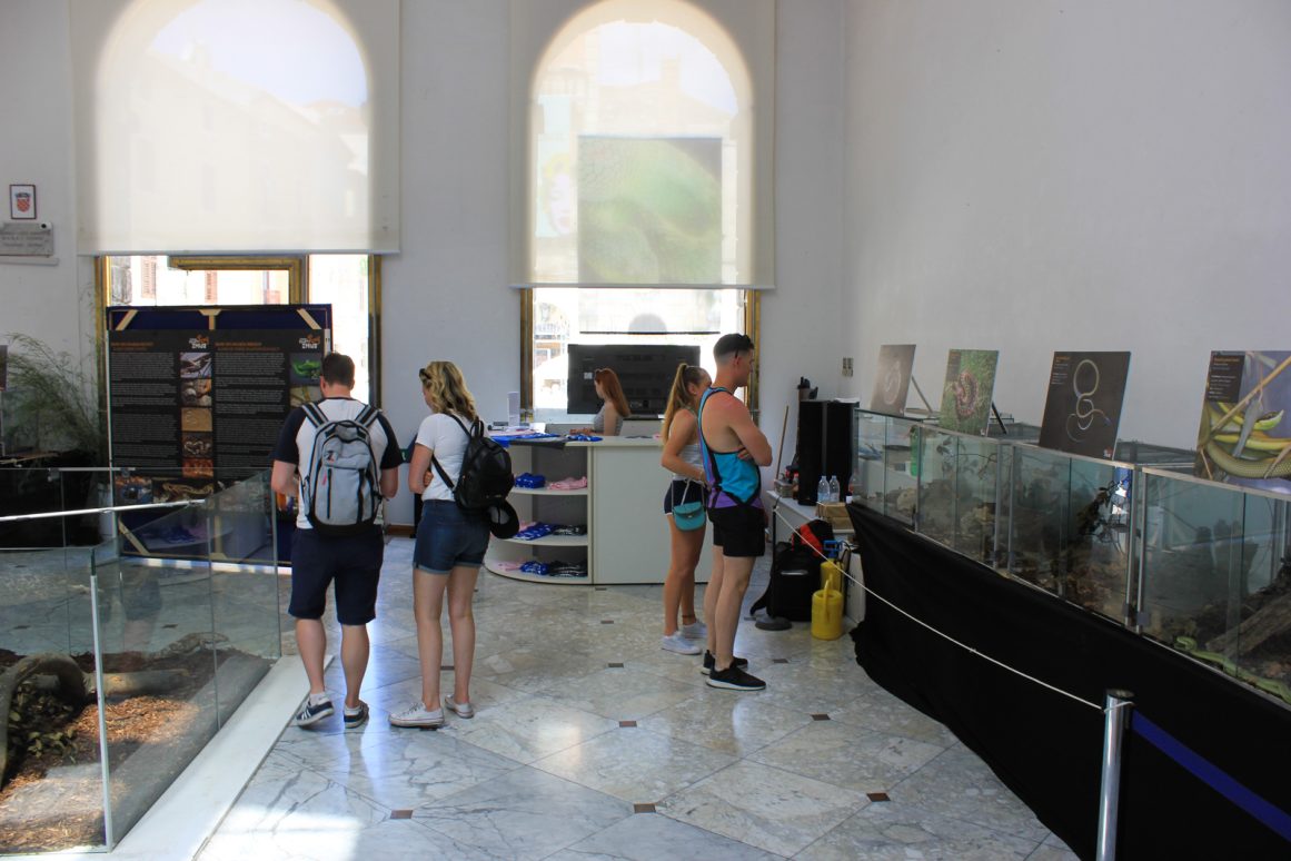 cudesan svijet zmija32