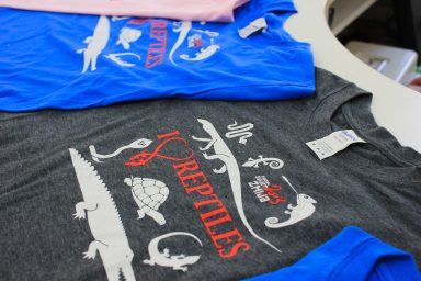 cudesan svijet zmija33