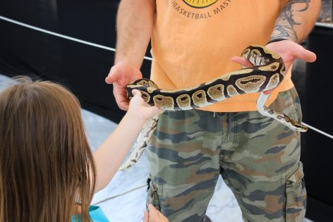 cudesan svijet zmija6