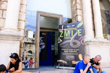 najotrovnije zmije svijeta