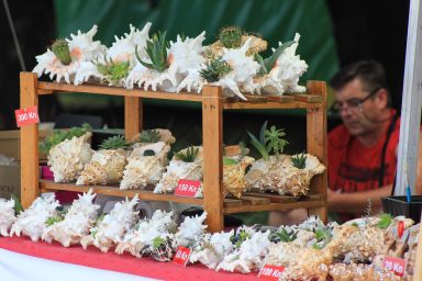 sajam domacih proizvoda 2018