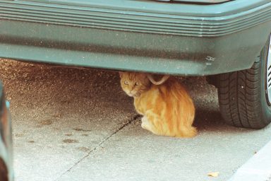 ulicama moga grada 1