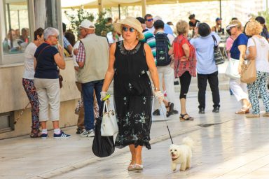 ulicama moga grada 21