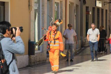 čcistoca, istoća, kosilica