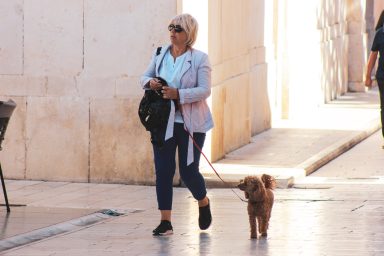 pas, ulicama moga grada 38