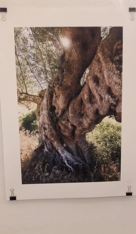 5351ac22-dc59-495c-b056-1b4f73a66669