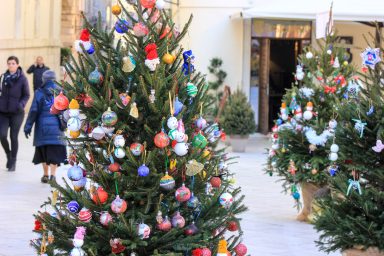 bor, bozicno drvce, borovi kod crkve sv.sime