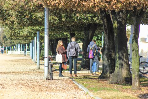 mladi, studenti, faks, fakultet,