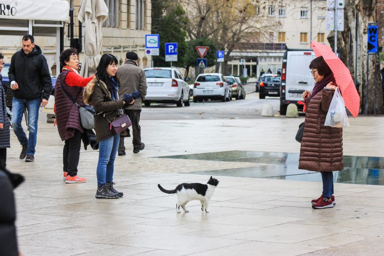turisti, kisa, kisobran, vrijeme, vremenska prognoza, zima