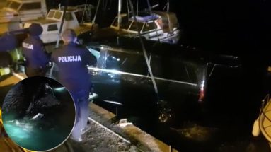 nesreca, auto u moru