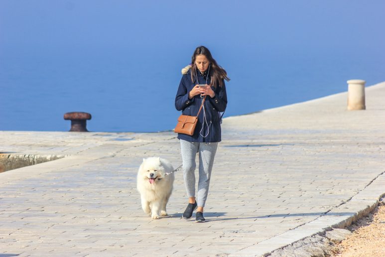 ul mog gr (18 of 41)