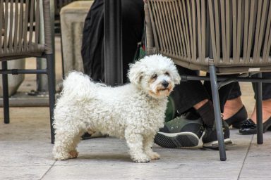 ul mog gr (31 of 32)