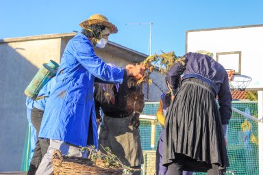 Maskare Sukosan (68 of 110)