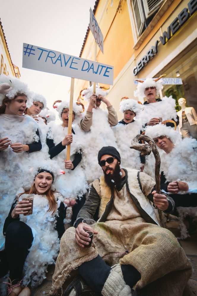 karneval zd (23 of 84)