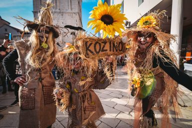 karneval zd (8 of 84)