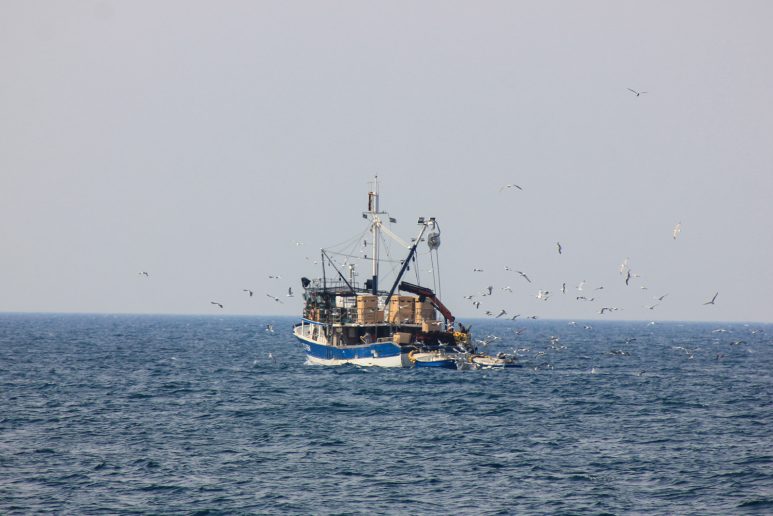 brodica, brod, ribic, riba, ribolov, ulov, izlov ribe, pomorstvo