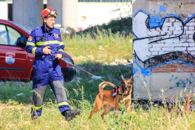 vatrogasci, pas za spasavanje, pas tragac (42 of 62)