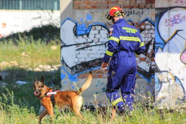 vatrogasci, pa trgac, pas za spasavanje (44 of 62)