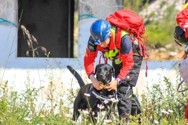 vatrogasci, pas tragac(57 of 62)