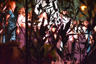 Susret klapa u Vrsima 24