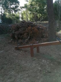 69843683_393168374729239_5674798133377236992_n