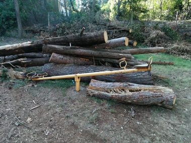 70443024_2384128035180059_752796892408053760_n