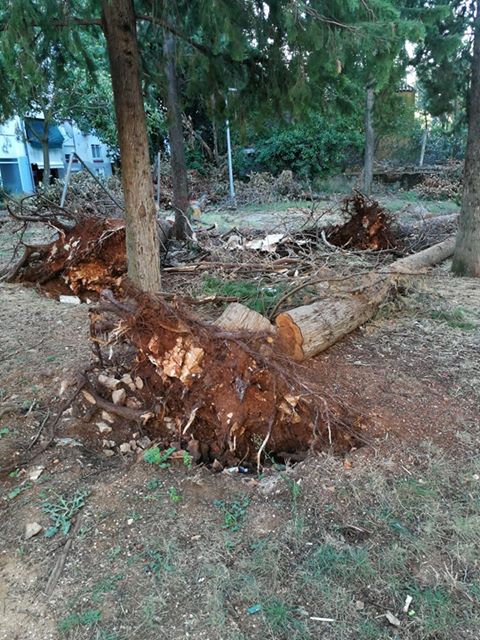 70563301_395831520959903_2885132491402772480_n