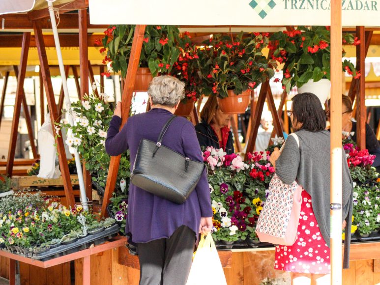 pijaca, cvijece