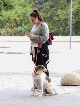 rodendan city gallerije_-57