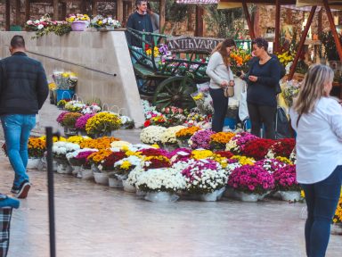cvijece, svi sveti, dan mrtvih, nadgrobno cvijece