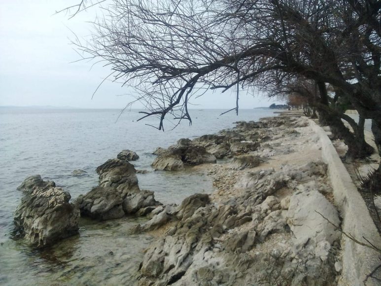 83834268_208790806964691_3391896490111664128_n