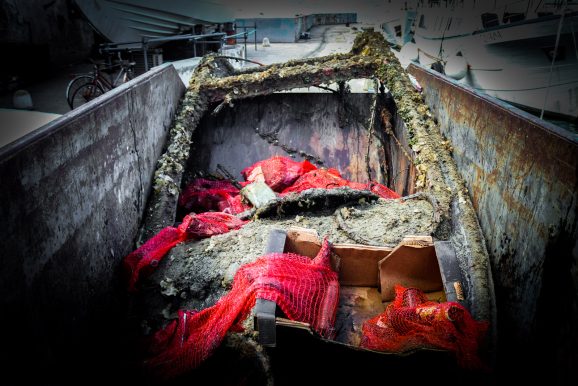 ciscenje podmorja fosa_-18