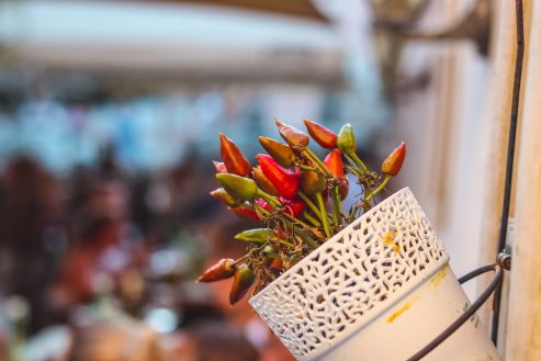 tratoria peperoni_-16